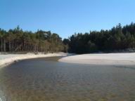 Resize of DSCF2543.JPG